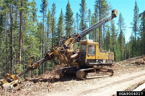 forest service delimbing equipment